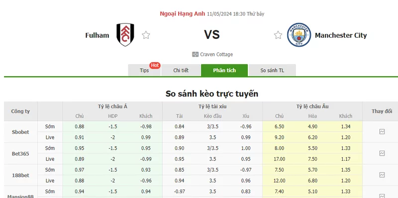 Nhận định soi kèo châu Á – Fulham vs Man City